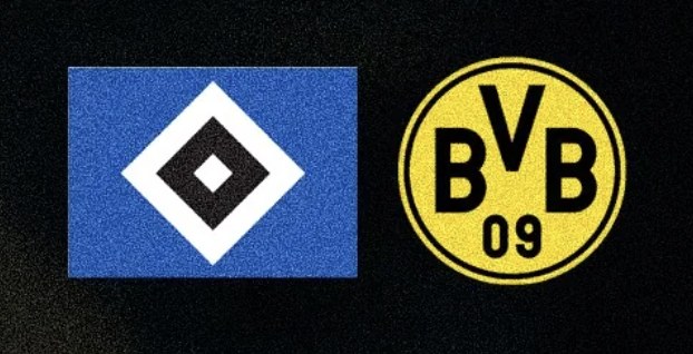 Close crop of HSV and BVB crests side by side
